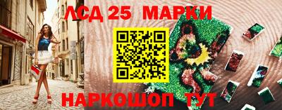 гашик Будённовск