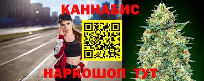 гашик Будённовск