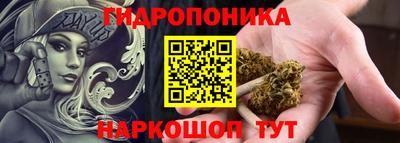 гашик Будённовск