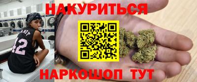 гашик Будённовск