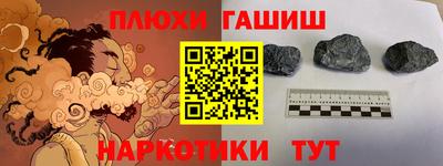 гашик Будённовск